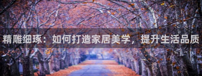 星欧娱乐扣钱是客服电话：精雕细琢：如何打造家居美学，提升生活