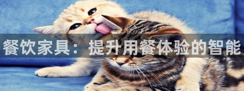 星欧娱乐平台是什么