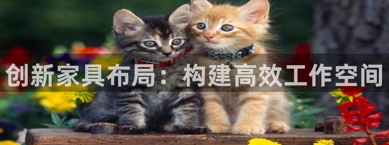 金欧岗星熠娱乐