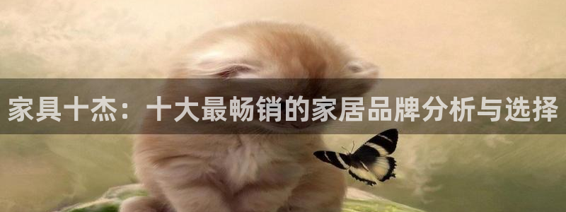 欧星娱乐公司