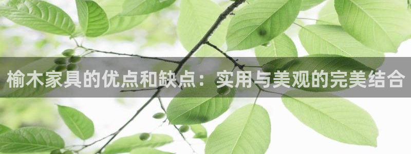 星辉娱乐欧联杯转播：榆木家具的优点和缺点：实用与美观的完美结