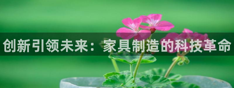 星欧娱乐扣费详情详解：创新引领未来：家具制造的科技革命