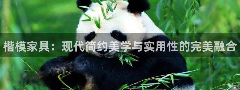 欧乐星城团购娱乐