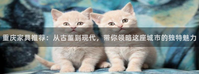 星欧娱乐官方网站首页