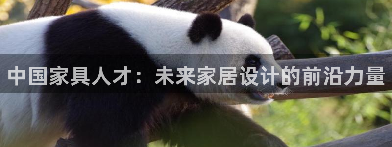 欧汇星娱乐城：中国家具人才：未来家居设计的前沿力量