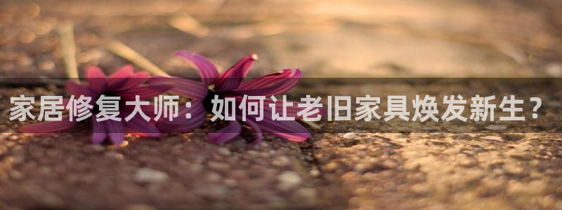 金欧岗星熠娱乐
