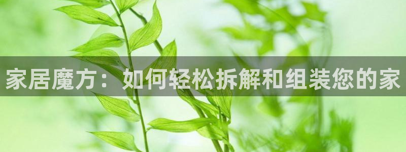 星欧娱乐是正规品牌吗