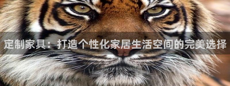 星欧娱乐官方网站首页