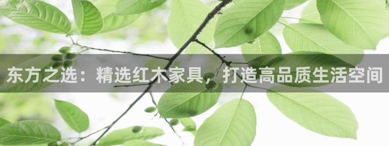 欧汇星娱乐：东方之选：精选红木家具，打造高品质生活空间