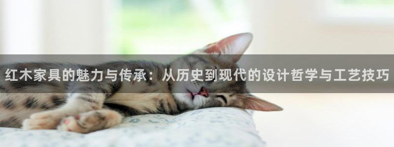 欧星娱乐视频：红木家具的魅力与传承：从历史到现代的设计哲学与