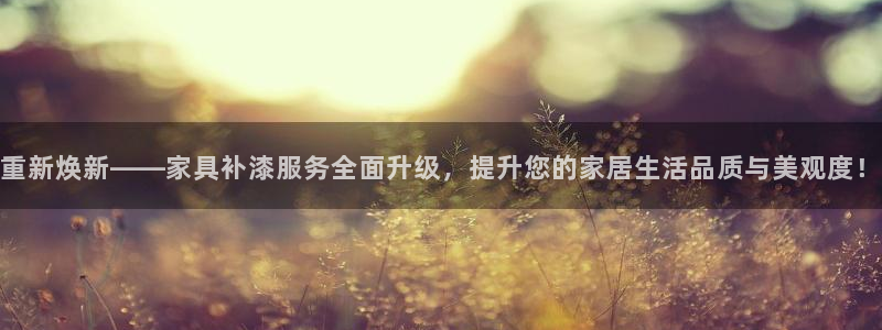 世欧星途娱乐