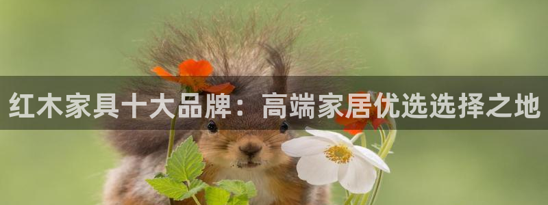 欧米星创文化娱乐