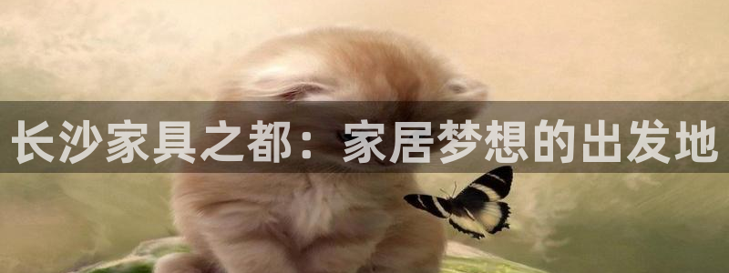 星欧娱乐倒闭了吗