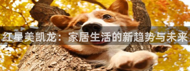 星欧娱乐的官方网站