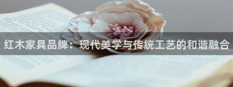星欧娱乐最近怎么了