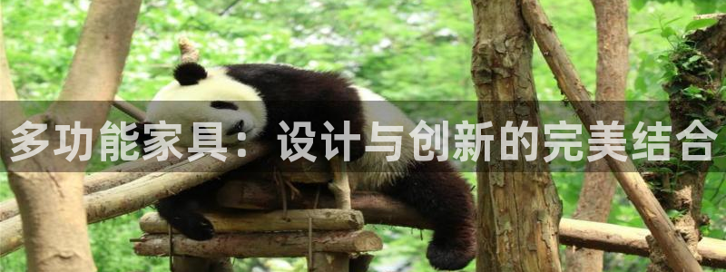 星欧娱乐雀V是什么平台