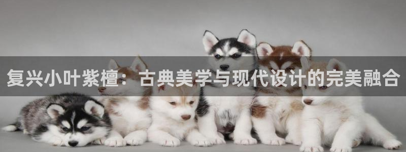 星欧娱乐客服人工电话