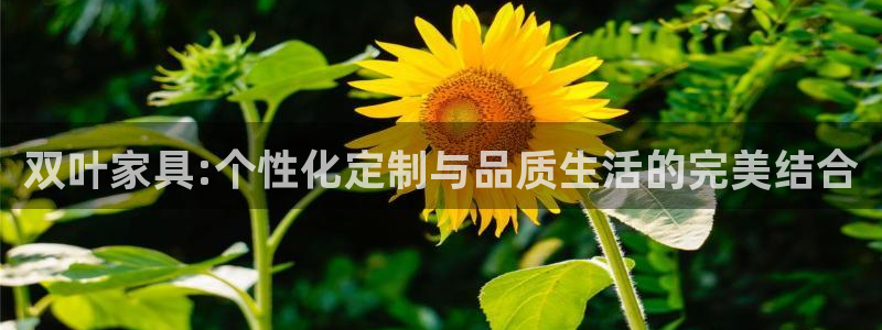 欧星娱乐城