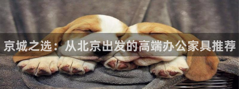 星欧娱乐平台注册：京城之选：从北京出发的高端办公家具推荐