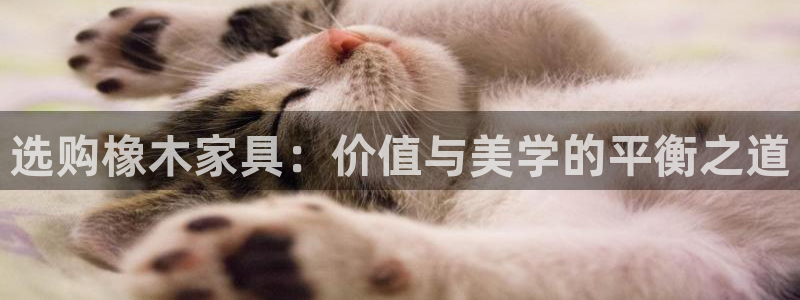 澳门欧星娱乐