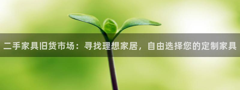 娱乐星扒客欧豪