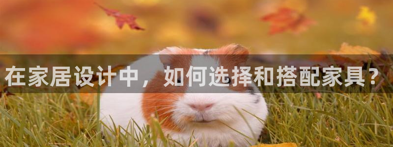 艾欧尼亚三星娱乐赛